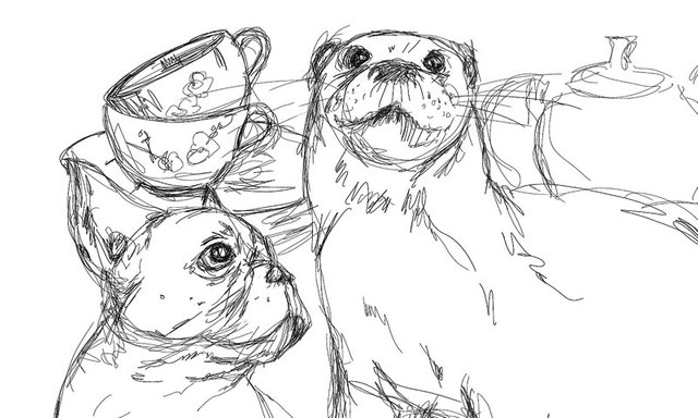 ottertea2thumbnail.jpg