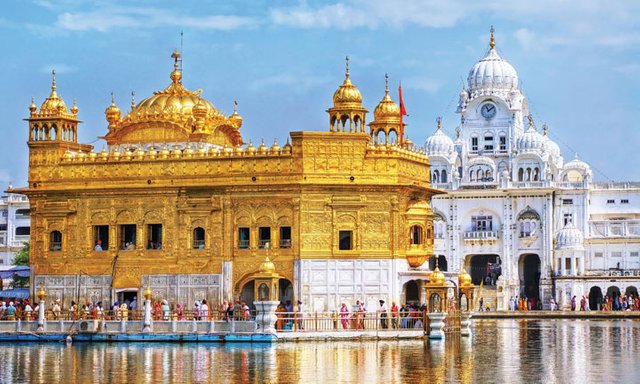 India-Tigers-Taj-Amritsars-Golden-Temple-sh_75134353-720x432.jpg