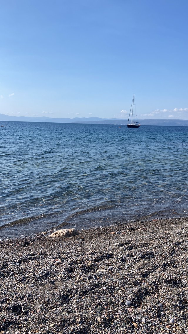 03D2F1C3-A093-4391-BC22-613F9DAC2039.jpeg