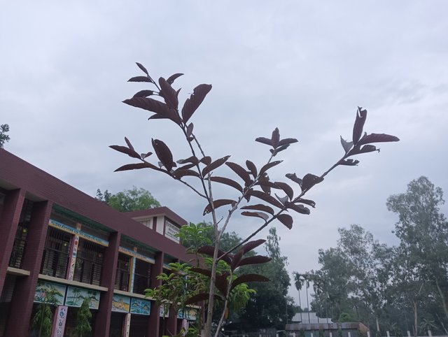 IMG20250519183243.jpg