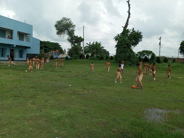 IMG_20250624_095002_207.jpg