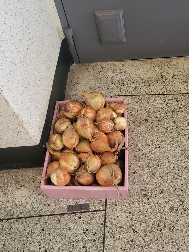 1000020137.jpg