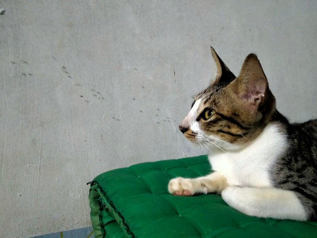 IMG20251009214729.jpg