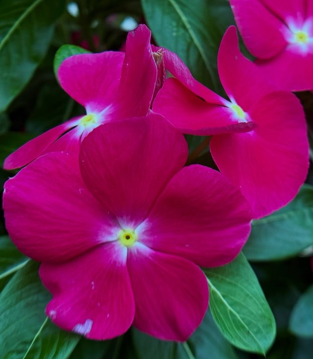 IMG_20250827_203122.jpg