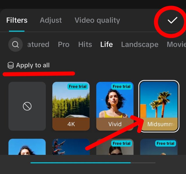 1000032737.jpg