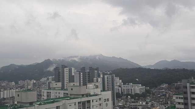 1000141929.jpg