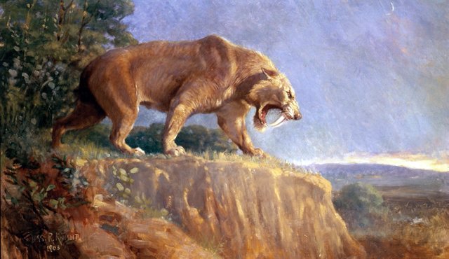 Smilodon_Knight.jpg