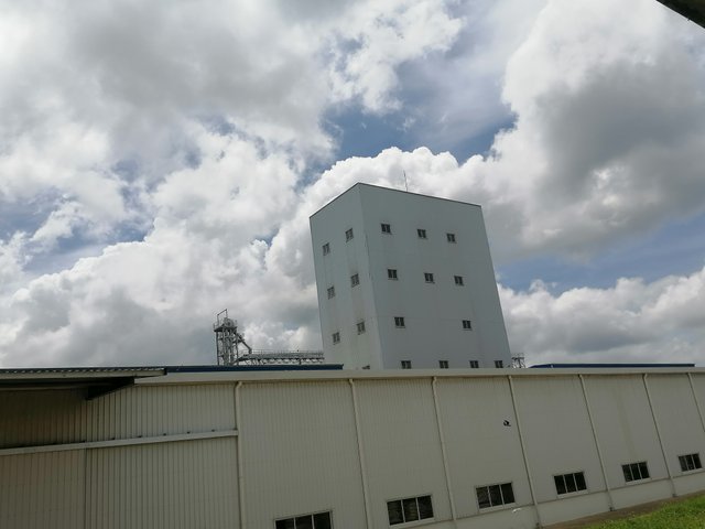 IMG_20210916_125247.jpg