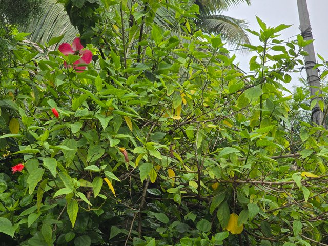 20240702_093542.jpg