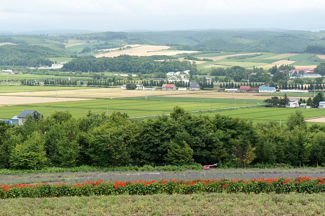 Japan-Hokkaido12802-871.jpg