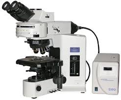 Fluorescence Microscope.jpg