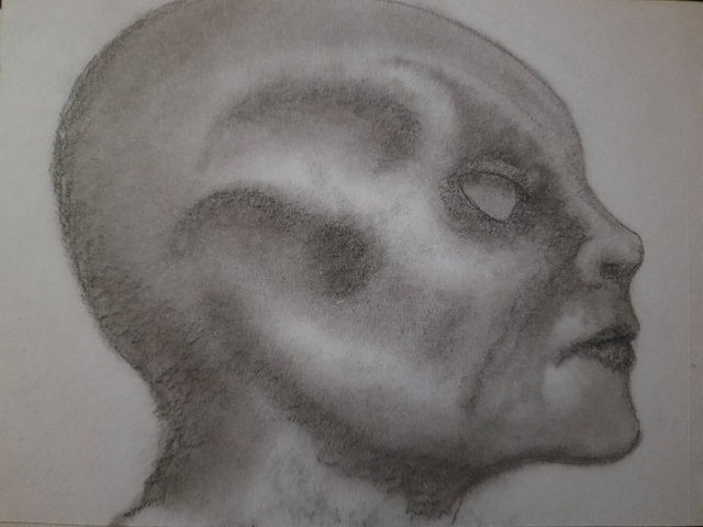 20250511_092551.jpg