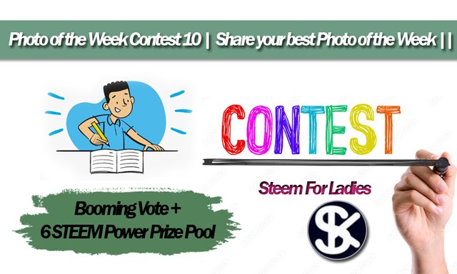 steem ladies contest.jpg