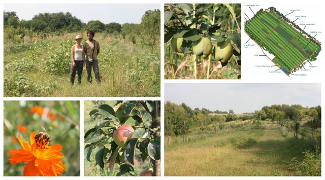 Suhi Dol - Polyculture Orchard.jpg