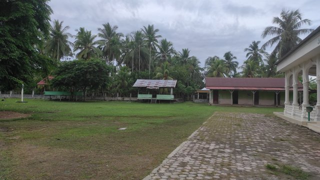 IMG_20250607_101608.jpg