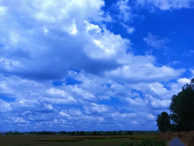 IMG_20250828_153518.jpg