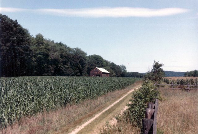 Farm.at.beginning.East.crop July.1983.jpg