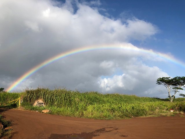 rainbow in hawaii.jpg