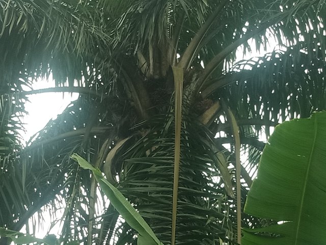 IMG20250727142833.jpg