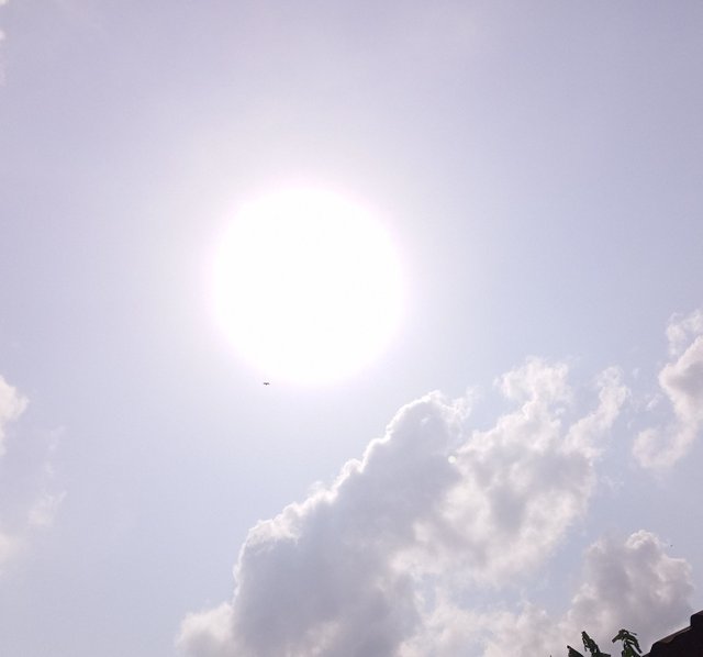 IMG_20250711_103810_144.jpg