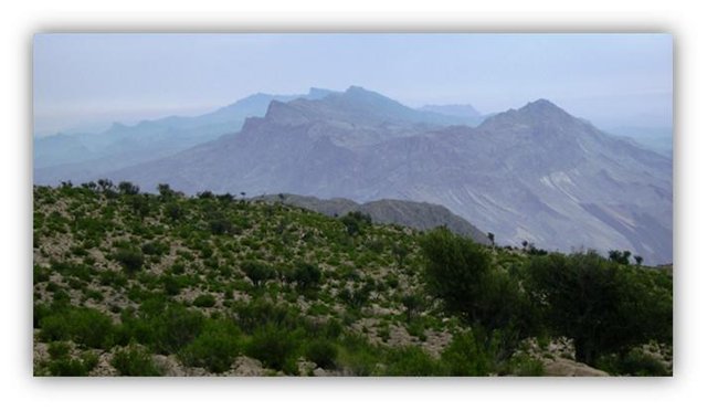 shandur top.jpg