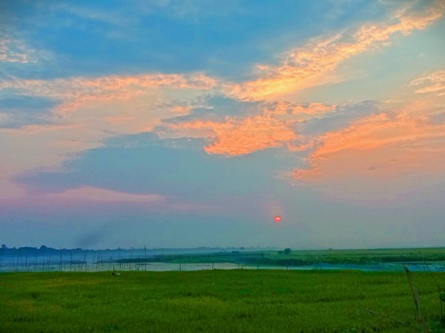 IMG_20250511_195231.jpg