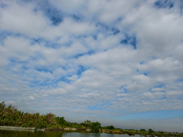 IMG_20250331_081627.jpg