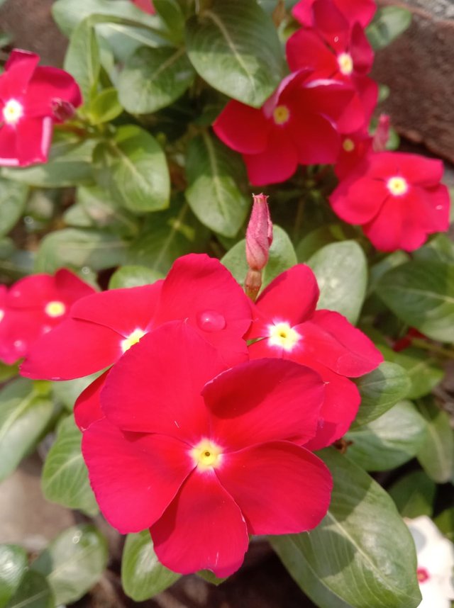 IMG_20250422_163200.jpg