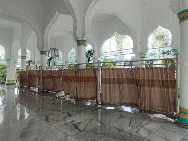 IMG_20250406_140735.jpg