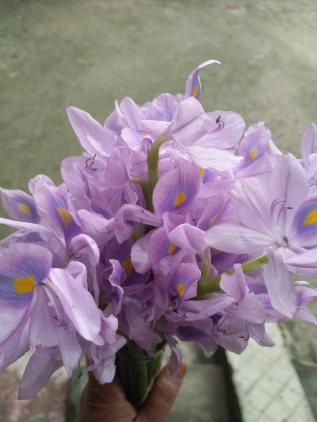IMG20250915100744.jpg