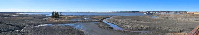 viewing platform pano done.jpg