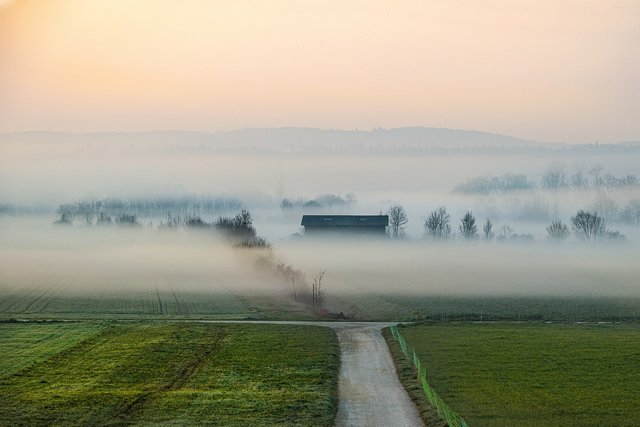 fog-4967467_1280.jpg