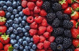 berries.jpeg