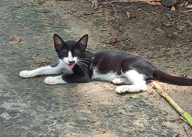 20250602_113355.jpg