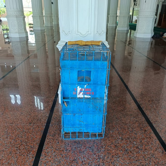 1000090643.jpg
