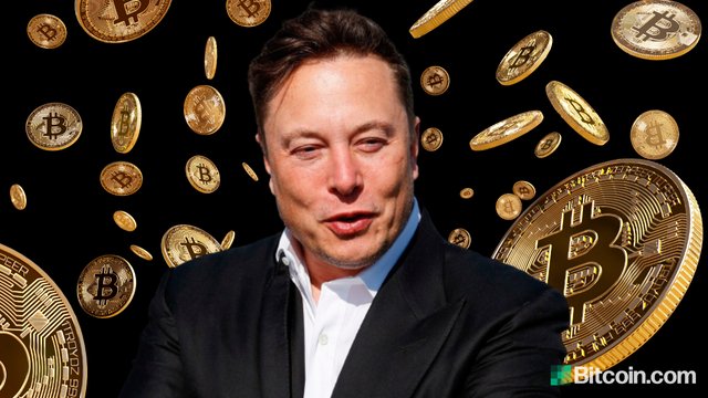 elon-likes-bitcoin.jpg