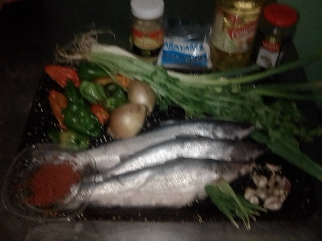 IMG_20210413_114915.jpg