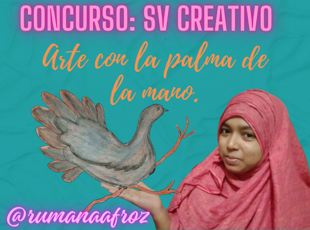 Concurso SV Creativo.png