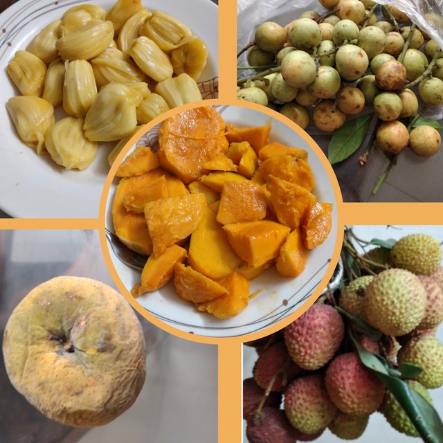 photocollage_2025620152559689.jpg