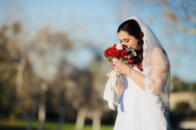 bride-4223144_1280.jpg