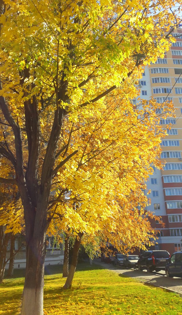 20181017_144349.jpg