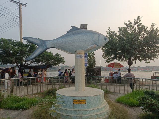 1000088975.jpg