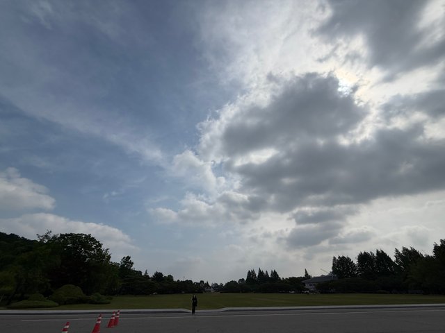 IMG_1530.jpeg