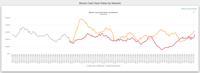 BCASH HASHWAR.png