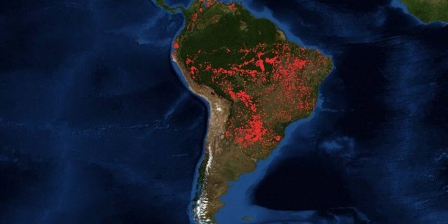 amazonia se inendia.jpg