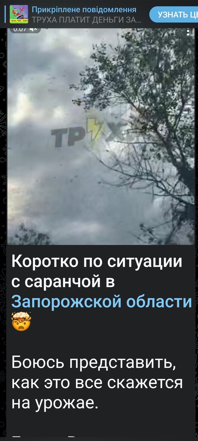 1000084382.jpg