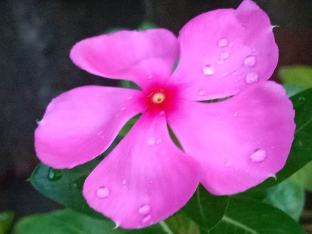 IMG_20250521_222112.jpg