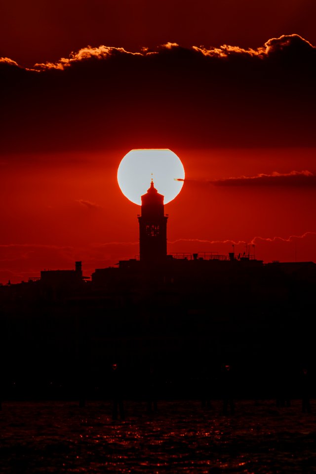 2022_08_22__081197.jpg