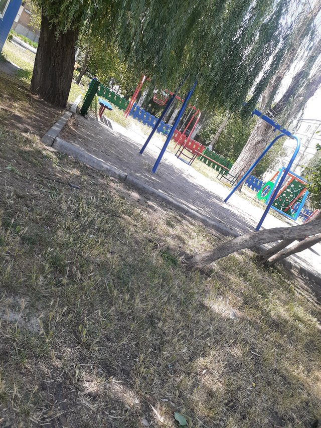 20250630_140308.jpg