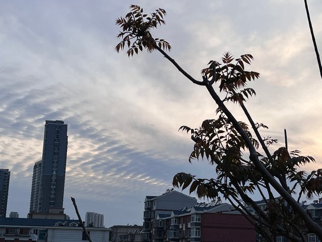 IMG_7885.jpeg